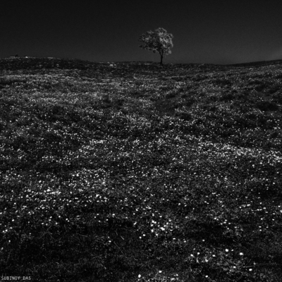 Black and white travel photography of Ladakh