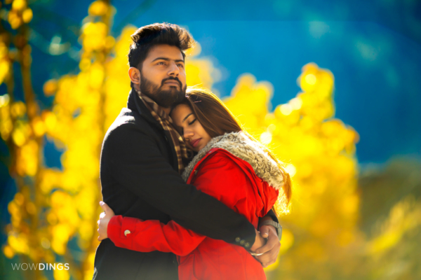 couple posing infront of a yellow tree at kalpa