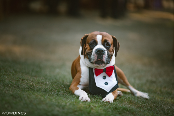 Church wedding photography in Delhi