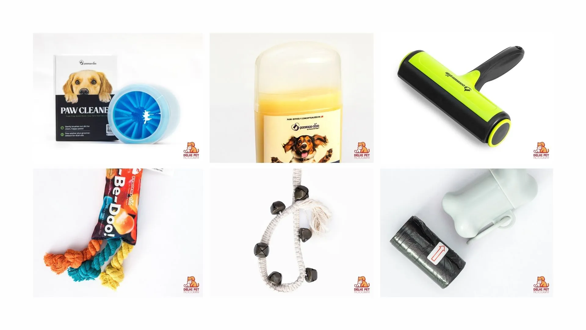 Delhi Pet Photography 39 1