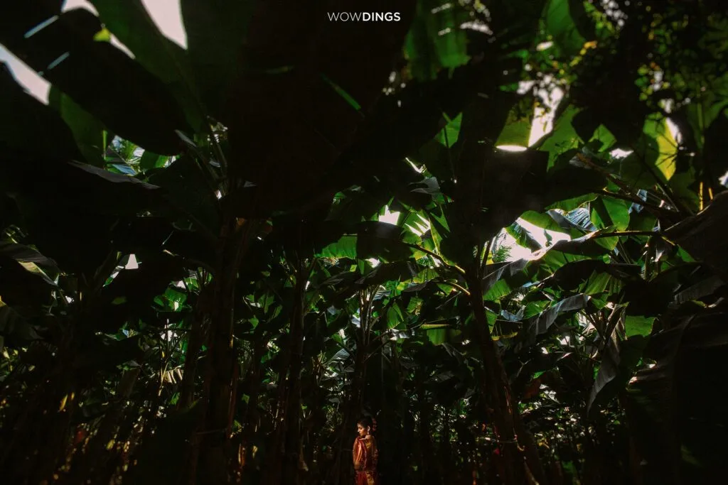 41754871 10158793632221959 8711341523477725184 n 1024x683 1