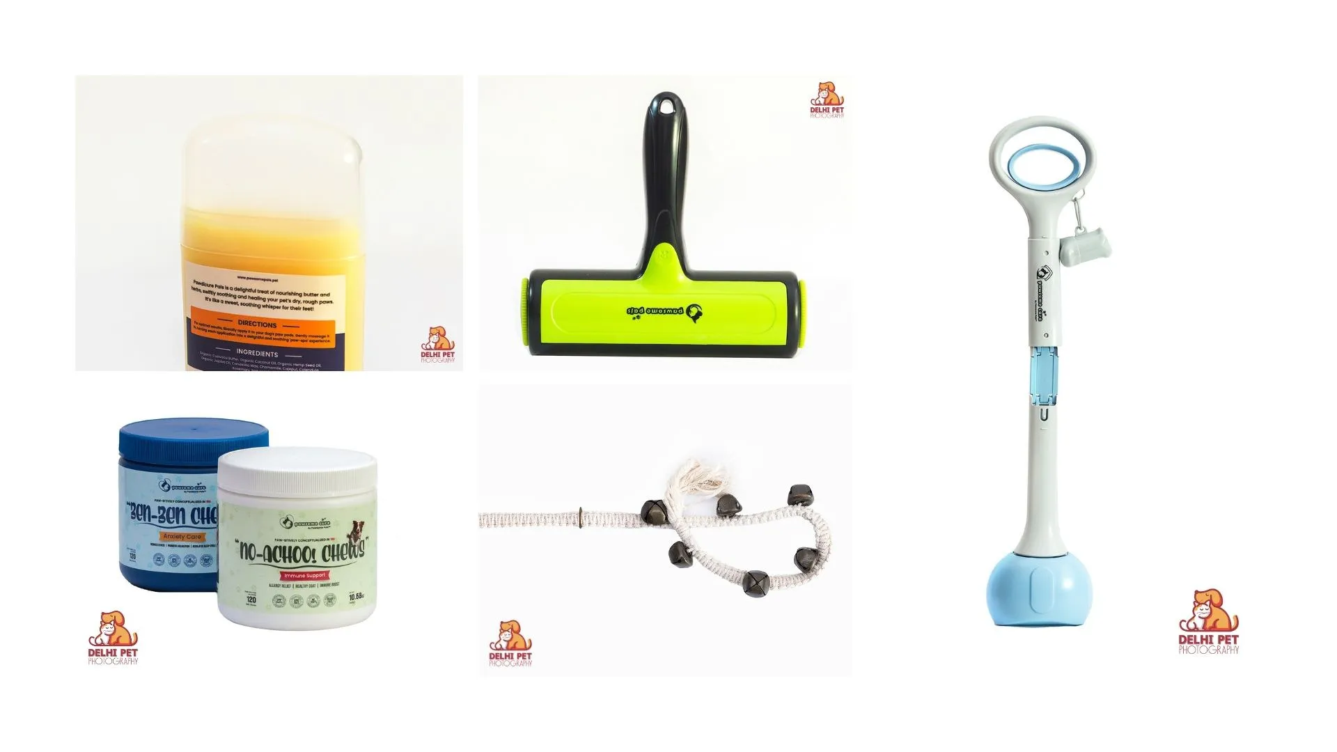 Delhi Pet Photography 35 5