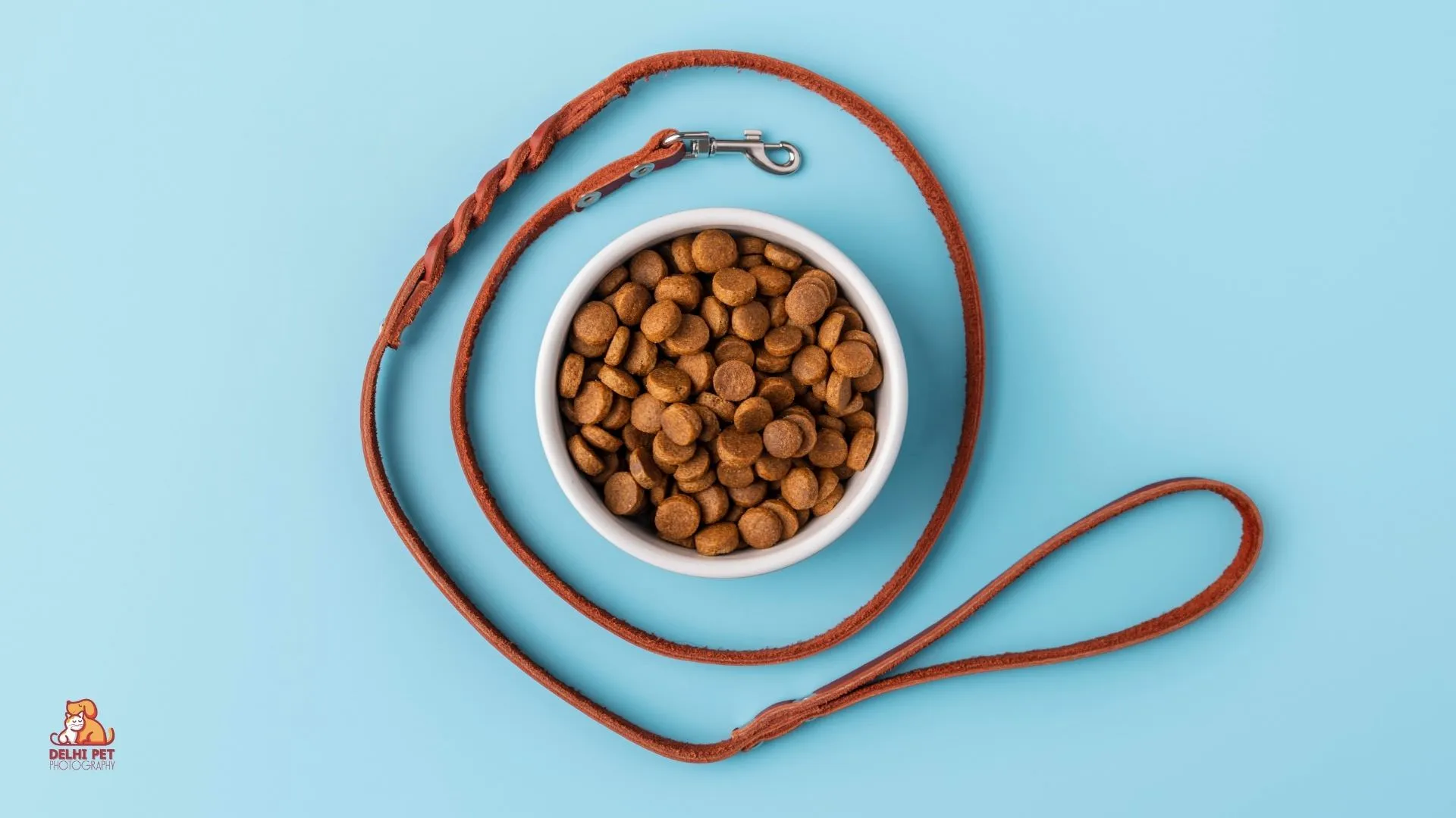 Delhi Pet Photography 36 6