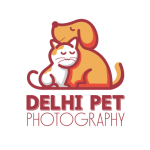 Delhi Pet Photography 54 Delhi Pet photography logo image