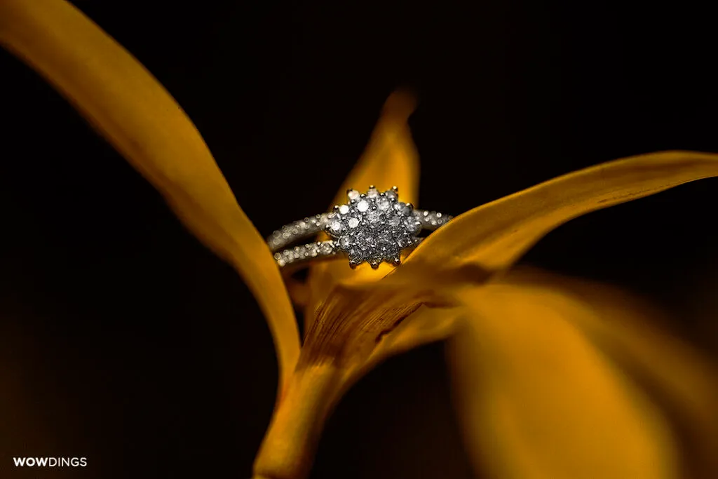 DAS8655 copy 1024x683 1