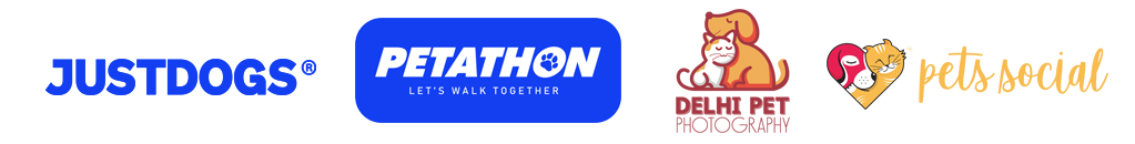 Delhi Pet Photography 33 Delhi pet photography clients