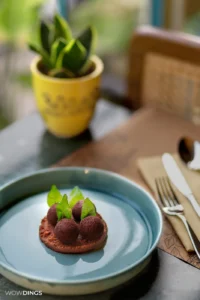 Delhi food photography featuring Indian street food and fine dining dishes