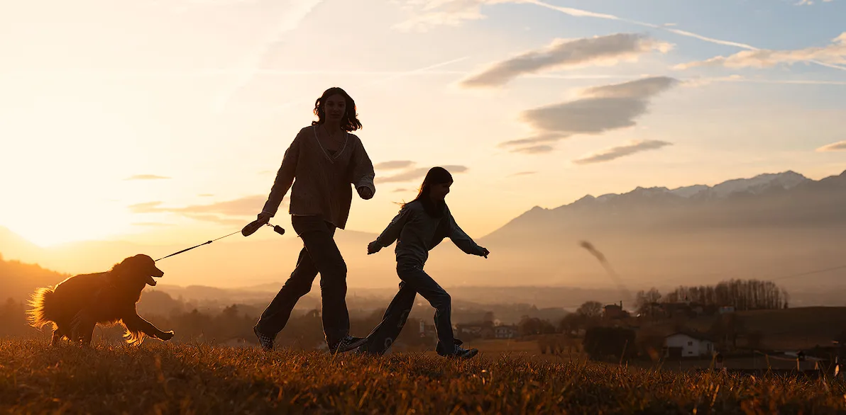 Delhi Pet Photography 7 golden retriever at ladakh