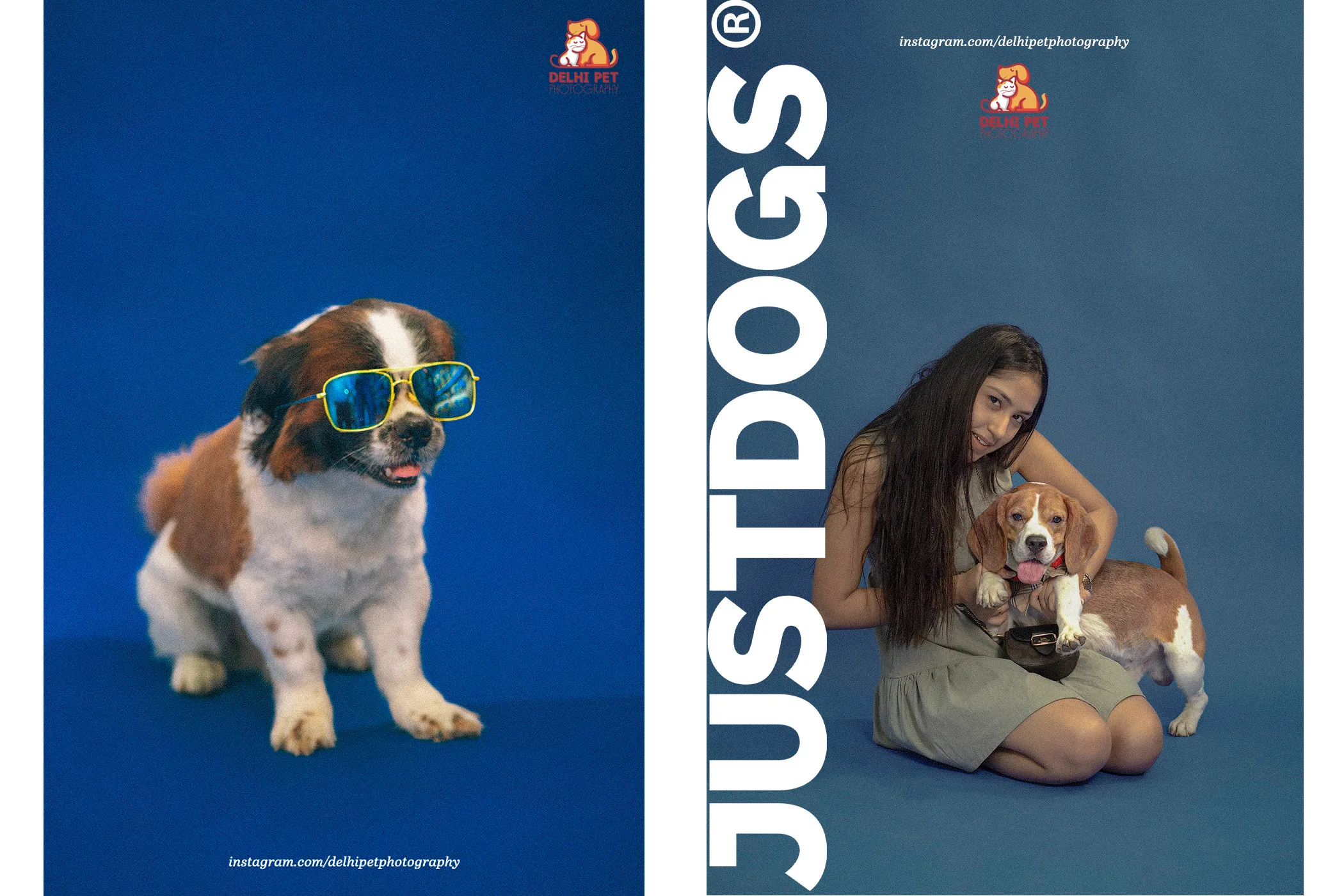 Delhi Pet Photography 31 justdog campaign shoot1