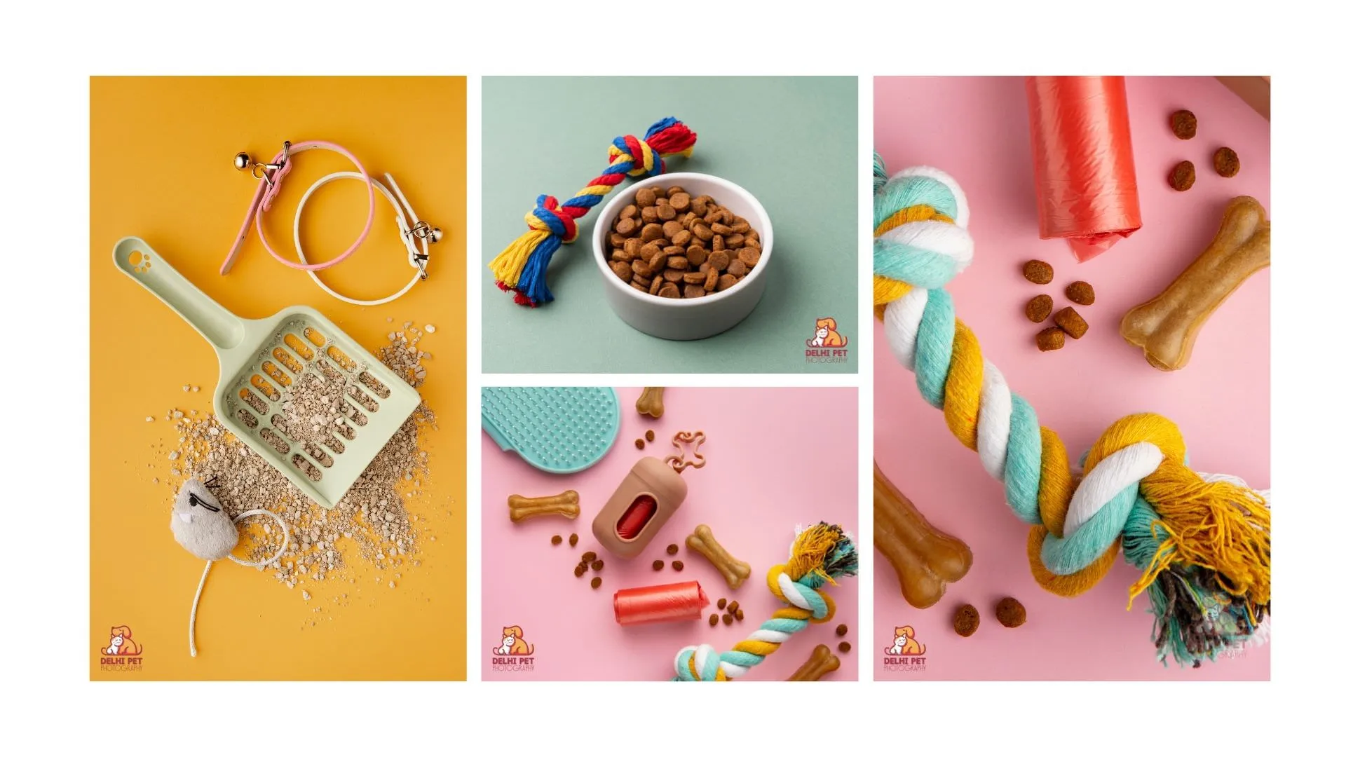 Delhi Pet Photography 37 justdog campaign shoot56