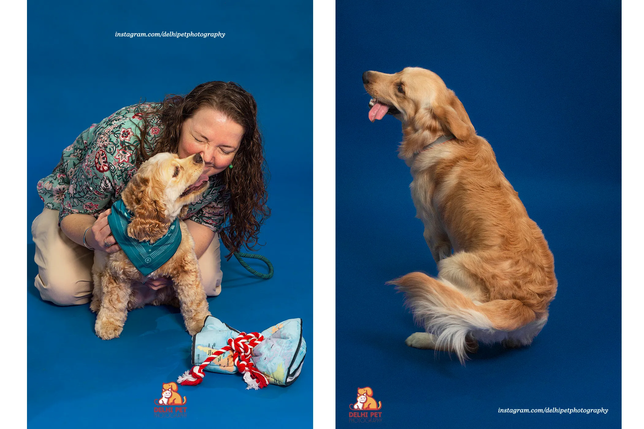 Delhi Pet Photography 26 justdog campaign shoot6