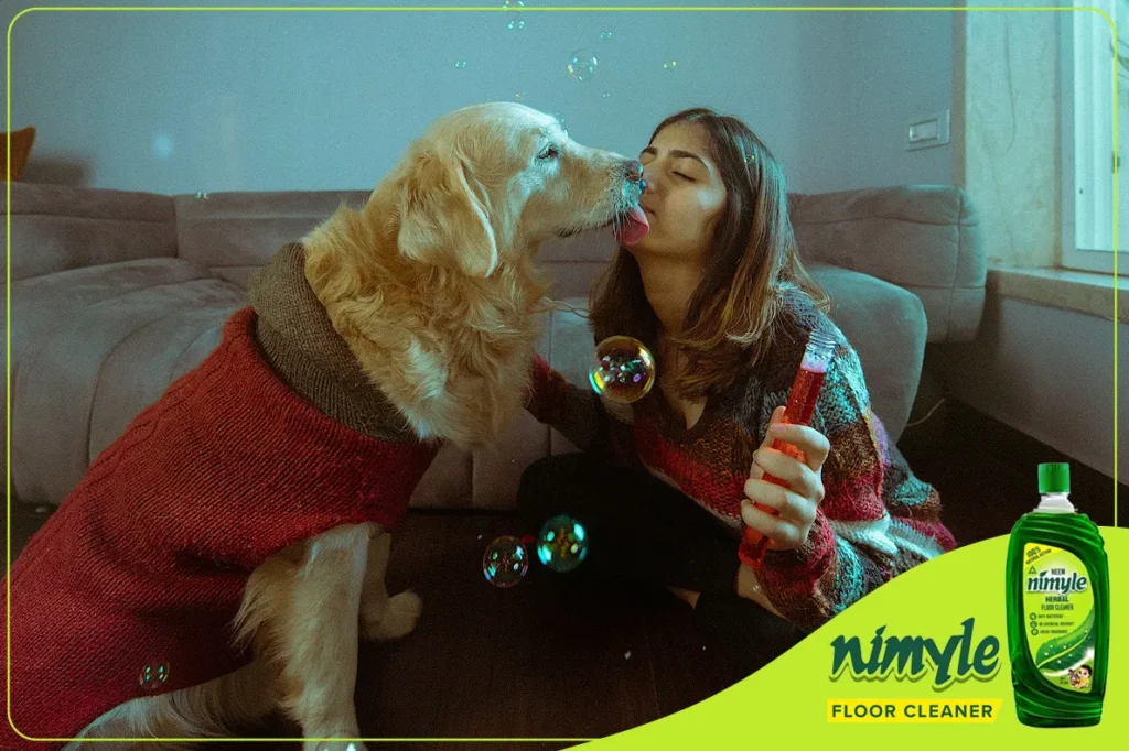 Delhi Pet Photography 44 Nimyle pet product photography